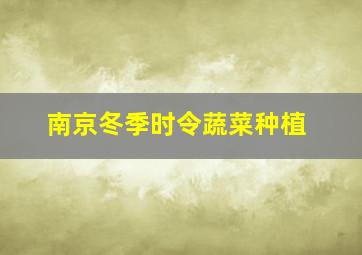 南京冬季时令蔬菜种植