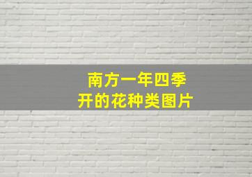 南方一年四季开的花种类图片