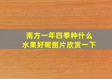 南方一年四季种什么水果好呢图片欣赏一下