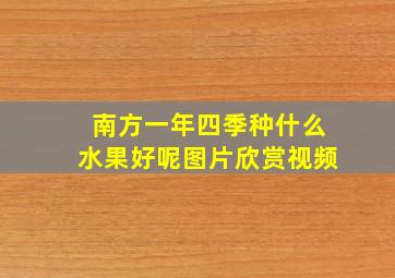 南方一年四季种什么水果好呢图片欣赏视频