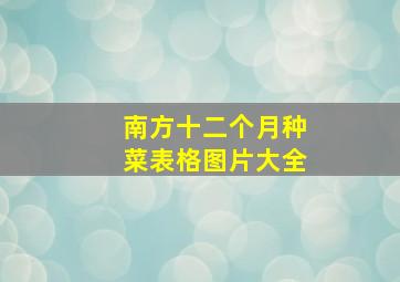 南方十二个月种菜表格图片大全