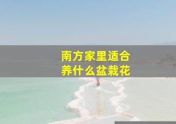 南方家里适合养什么盆栽花