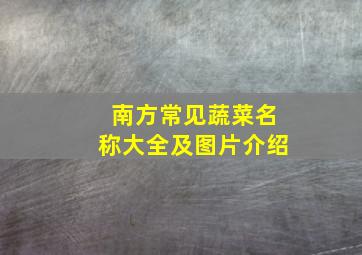 南方常见蔬菜名称大全及图片介绍