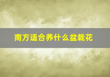 南方适合养什么盆栽花