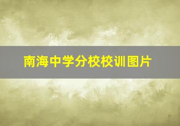 南海中学分校校训图片