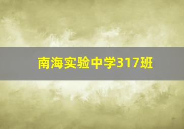 南海实验中学317班