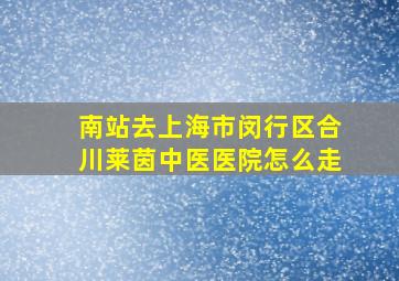 南站去上海市闵行区合川莱茵中医医院怎么走