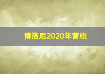 博洛尼2020年营收