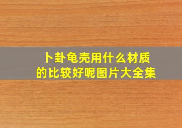 卜卦龟壳用什么材质的比较好呢图片大全集