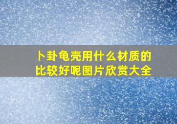 卜卦龟壳用什么材质的比较好呢图片欣赏大全