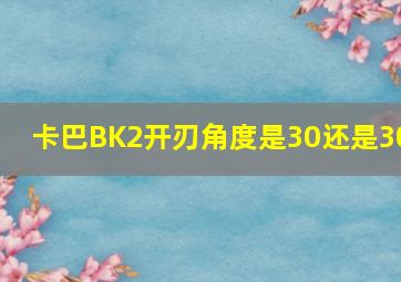 卡巴BK2开刃角度是30还是30