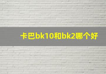 卡巴bk10和bk2哪个好