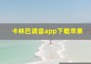 卡林巴调音app下载苹果