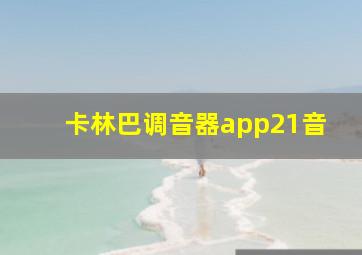 卡林巴调音器app21音