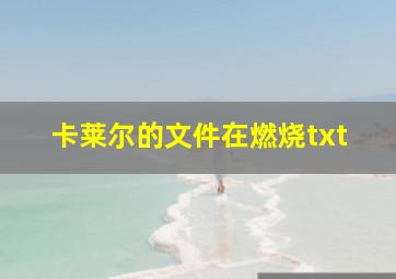 卡莱尔的文件在燃烧txt