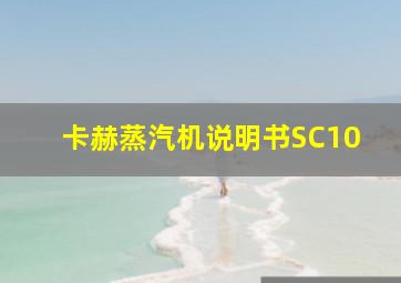 卡赫蒸汽机说明书SC10