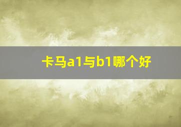 卡马a1与b1哪个好