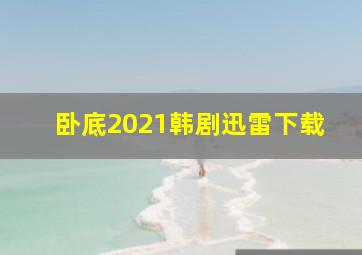 卧底2021韩剧迅雷下载