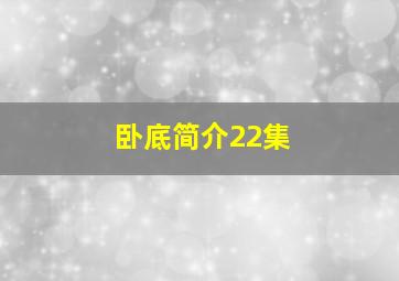 卧底简介22集