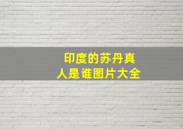 印度的苏丹真人是谁图片大全