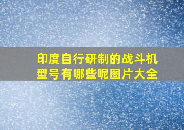 印度自行研制的战斗机型号有哪些呢图片大全