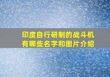 印度自行研制的战斗机有哪些名字和图片介绍