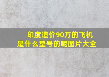 印度造价90万的飞机是什么型号的呢图片大全