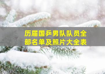 历届国乒男队队员全部名单及照片大全表