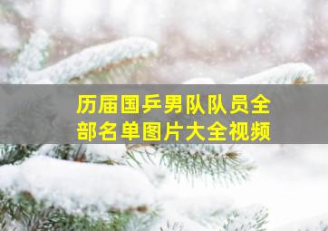 历届国乒男队队员全部名单图片大全视频