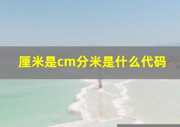 厘米是cm分米是什么代码