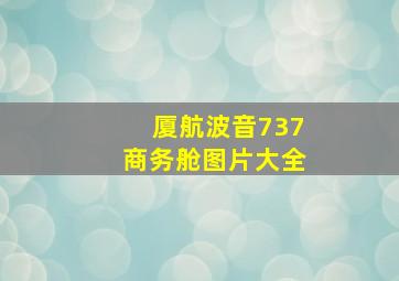 厦航波音737商务舱图片大全