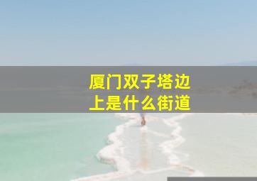 厦门双子塔边上是什么街道