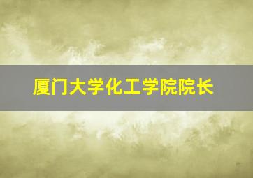 厦门大学化工学院院长