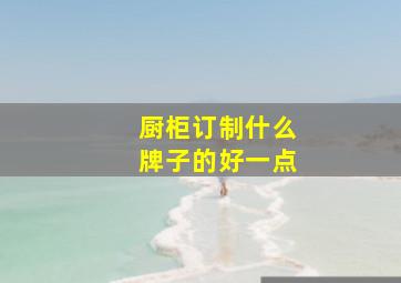 厨柜订制什么牌子的好一点