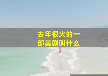 去年很火的一部美剧叫什么