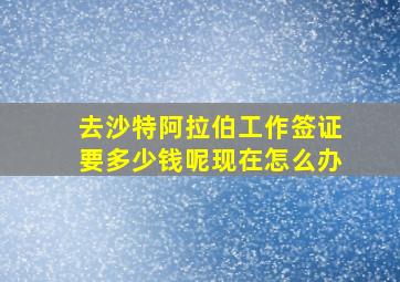 去沙特阿拉伯工作签证要多少钱呢现在怎么办