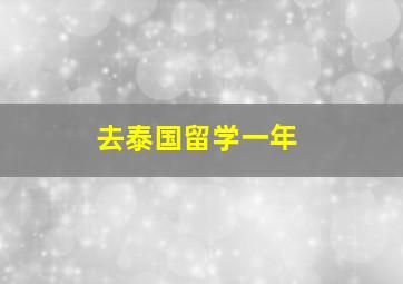 去泰国留学一年