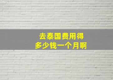 去泰国费用得多少钱一个月啊