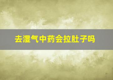 去湿气中药会拉肚子吗