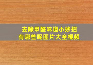 去除甲醛味道小妙招有哪些呢图片大全视频