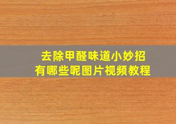 去除甲醛味道小妙招有哪些呢图片视频教程