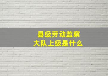 县级劳动监察大队上级是什么