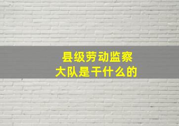 县级劳动监察大队是干什么的