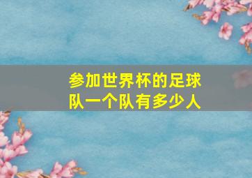 参加世界杯的足球队一个队有多少人