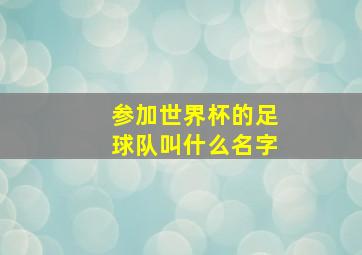 参加世界杯的足球队叫什么名字