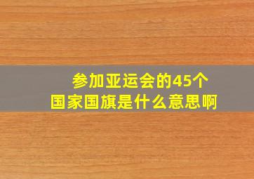 参加亚运会的45个国家国旗是什么意思啊