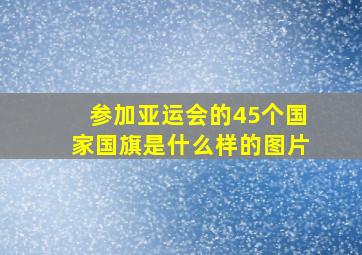 参加亚运会的45个国家国旗是什么样的图片