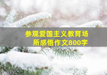 参观爱国主义教育场所感悟作文800字