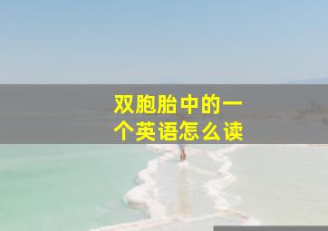 双胞胎中的一个英语怎么读