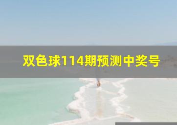 双色球114期预测中奖号